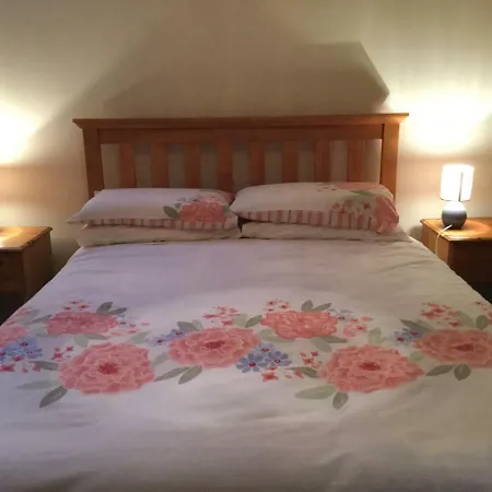 ベッド・アンド・ブレックファスト Loistin An Iuir Annagry